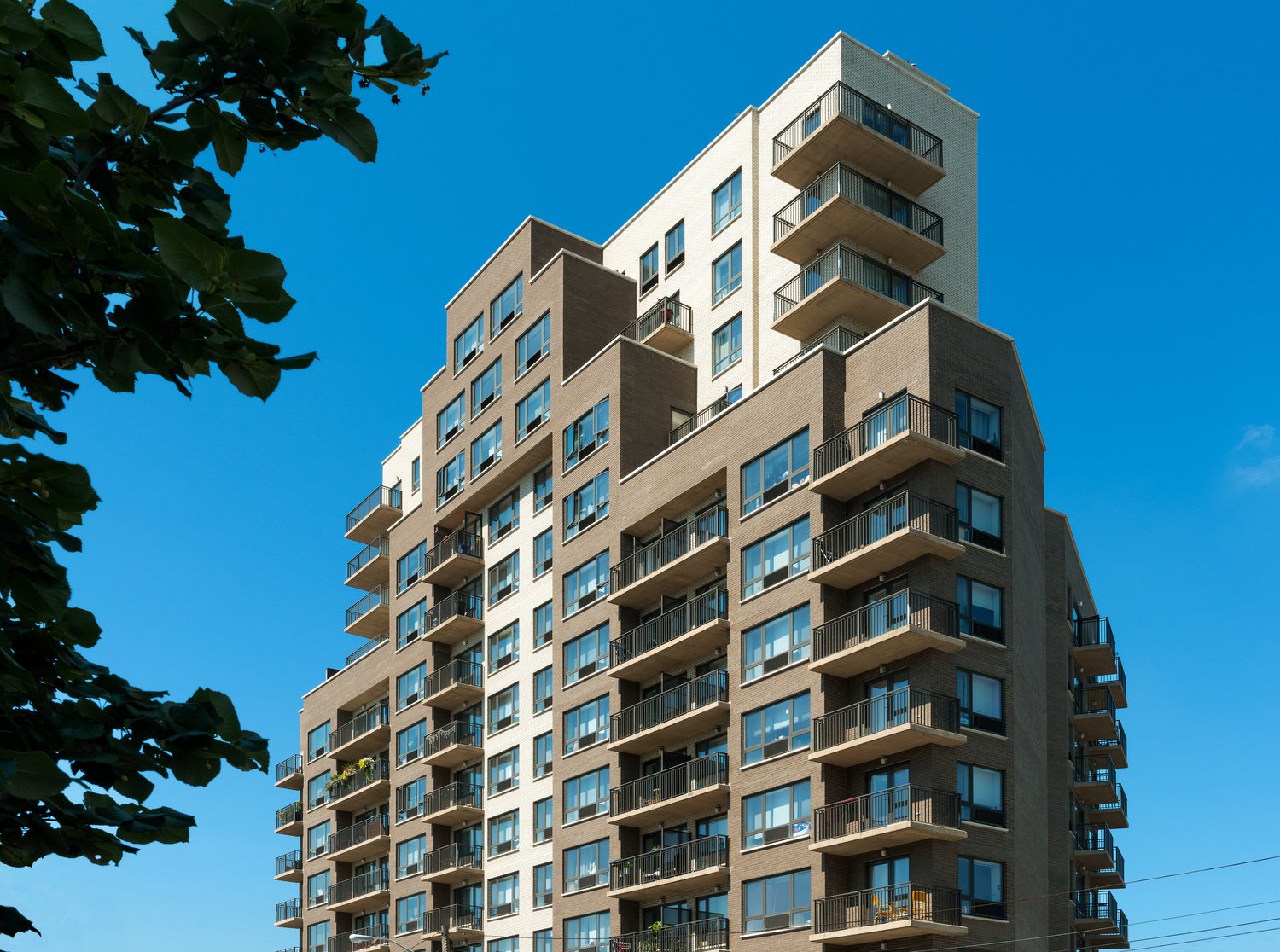 The EXO Forest Properties